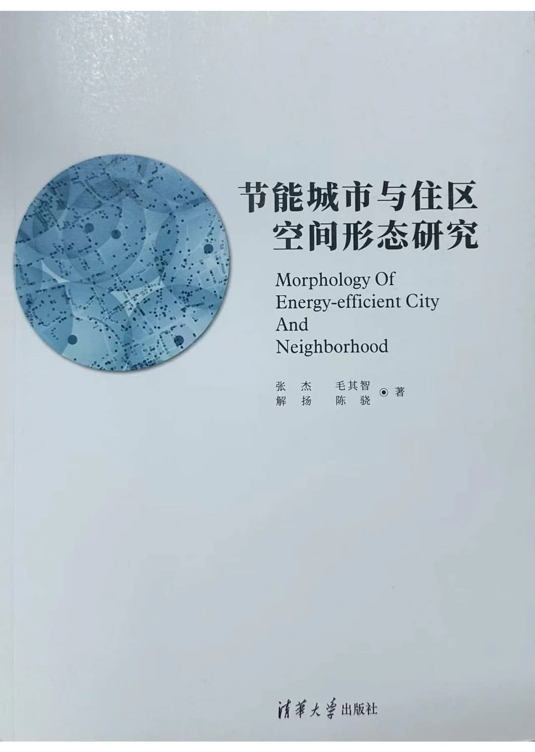 Morphology of Energy-Efficient City and Neighborhood